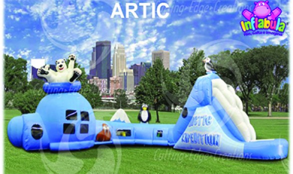 Artic Ice